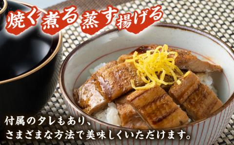 対馬産 穴子 詰め合わせ 10PAC [WAV002]