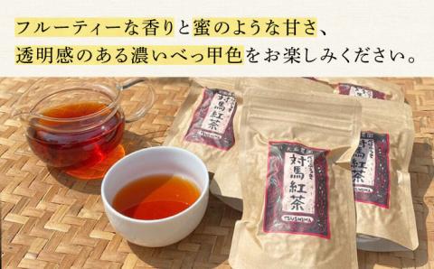 おうちで 紅茶 づくり 体験キット（Webショップで使えるクーポン付）《対馬市》【つしま大石農園】 国産 ティー [WBE010]