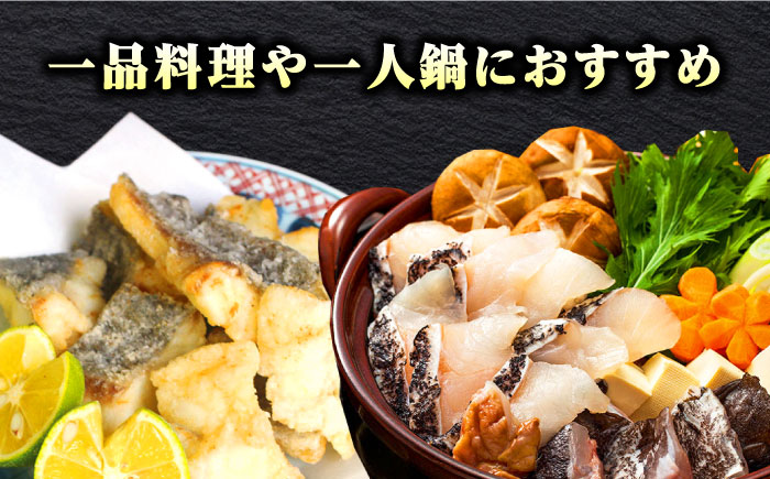 【迷ったらコレ！】対馬産 幻の高級魚 クエ 500g《対馬市》【保家商事】 冷凍配送 くえ アラ 切身 海鮮 鮮魚 魚介[WAA004]