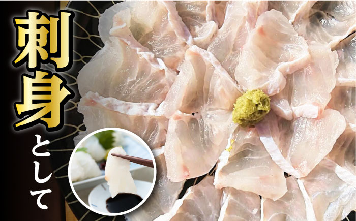 【迷ったらコレ！】対馬産 幻の高級魚 クエ 2kg《対馬市》【保家商事】 刺身 鍋 クエ鍋 海鮮 鮮魚 しゃぶしゃぶ [WAA003]