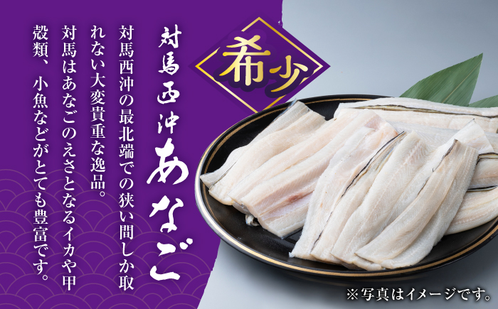 対馬産 西沖あなご 200g×1パック《対馬市》【保家商事】 あなご 穴子 アナゴ 海鮮 海産物 魚介 [WAA044]