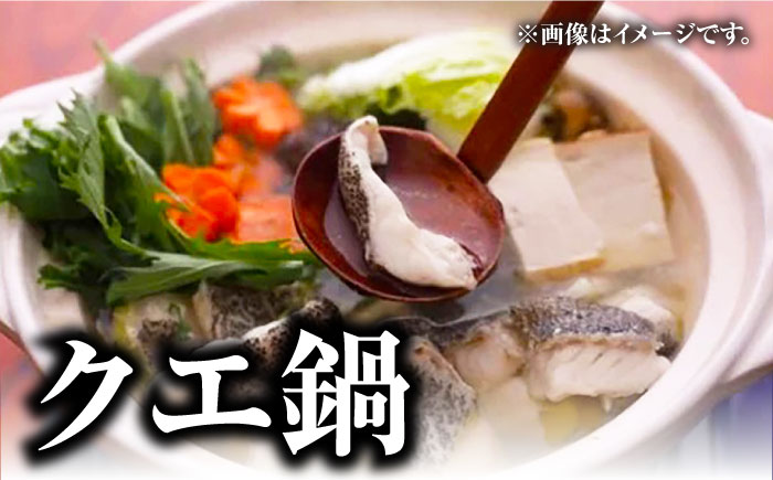 【12/25入金分まで年内発送】【 対馬産 】 クエ 鍋 セット・ 剣先 イカ 詰め合わせ セット《対馬市》【石川水産】 水炊き 鮮度抜群 海鮮 [WAB005]