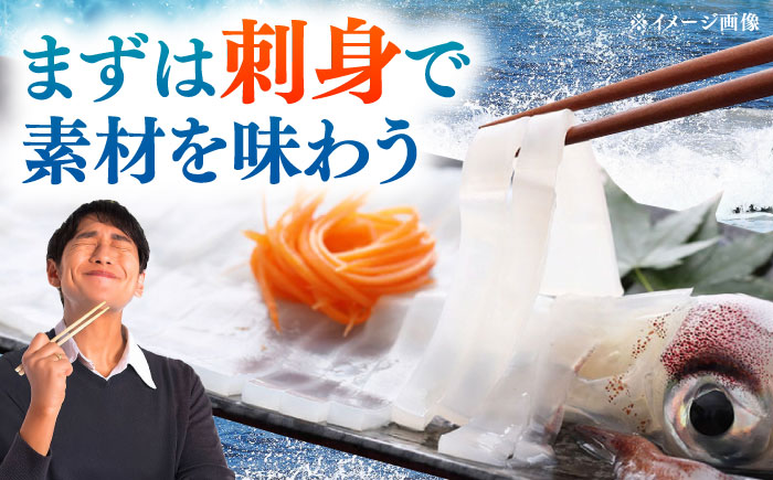 【12/25入金分まで年内発送】【特大】 剣先 イカ （ 生 冷凍 ）2枚 《対馬市》【石川水産】刺身 塩辛 鮮度抜群 海鮮 [WAB027]