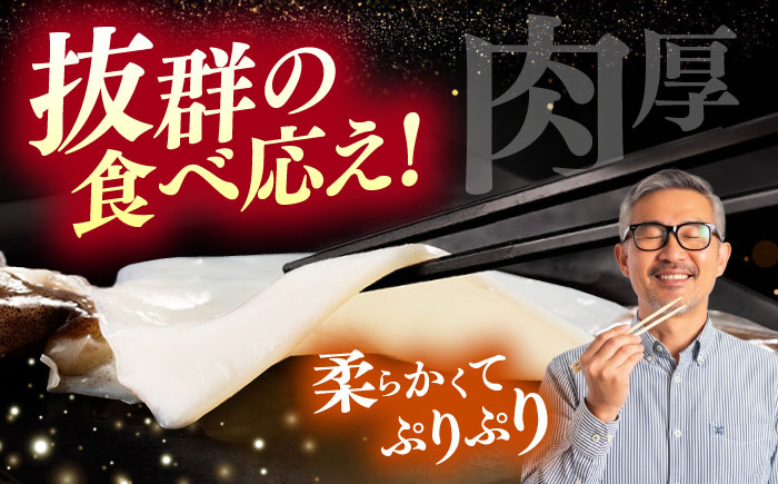 【12/23入金分まで年内発送】するめいか一夜干しセット [WAC006]