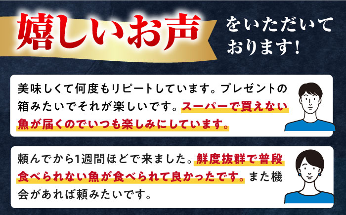 対馬 活〆 島魚セット 3.5～4kg《対馬市》【対馬地域商社】九州 長崎 鮮魚 [WAC007]新鮮 鮮度 直送 冷蔵 鮮魚 刺身 海鮮 魚介 鯛めし 煮付け 魚 ぶり まぐろ 刺し身 定置網 おかず 一品 味噌汁 塩焼き お祝い 鮪 マグロ