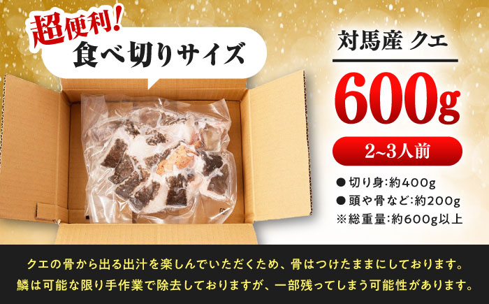 対馬産 クエ鍋セット 600g（2～3人前）《対馬市》【対馬地域商社】 [WAC014] アラ くえ クエ クエ鍋 鍋 鍋セット 高級魚 魚 希少 冷凍 長崎 九州 つしま 対馬市 海鮮 魚介