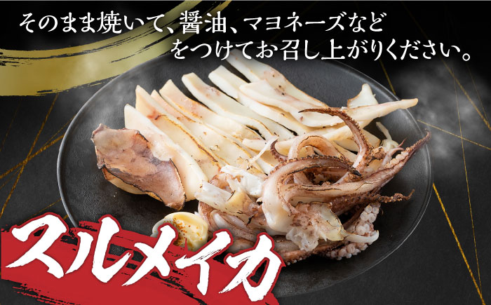 【全6回定期便】するめ いか 一夜干し セット《対馬市》【対馬地域商社】九州 長崎 海鮮 [WAC025]