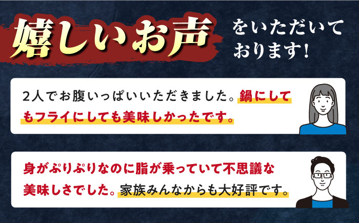 【全3回定期便】対馬 産 クエ 鍋 セット 600g (2～3人前)《対馬市》【対馬地域商社】九州 長崎 海鮮 [WAC033]