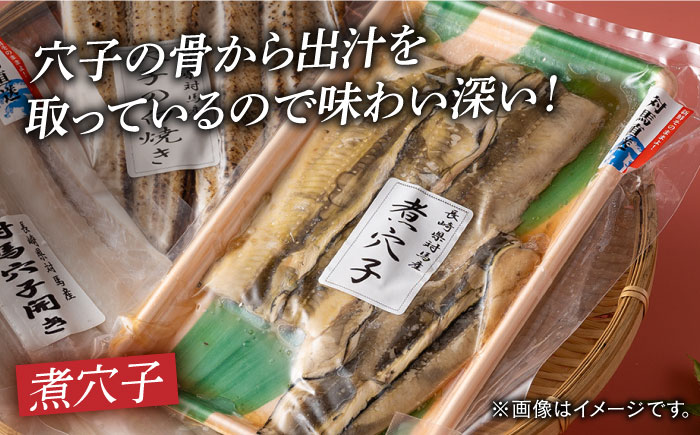 【全6回定期便】対馬 穴子 セット 500g《対馬市》【海風商事】国産 九州 長崎 煮穴子 白焼き [WAD039]