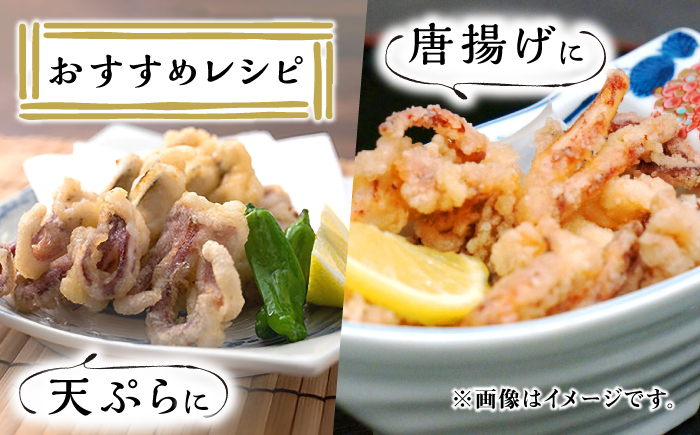 対馬産 スルメイカ ゲソ 2.5kg 【丸徳水産】《対馬市》海産物 新鮮 いかげそ イカゲソ 下足 おつまみ BBQ 惣菜 おかず てんぷら [WAE009]