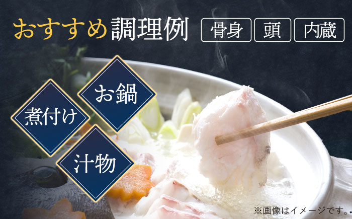 【12/17入金分まで年内発送】使い道いろいろ！ 活〆 クエ （ アラ ） 切身 《 対馬市 》 【 対馬逸品屋 】 海鮮 高級 鍋 おもてなし [WAF009]