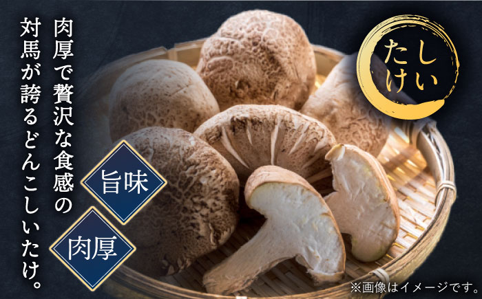 【12/17入金分まで年内発送】スープ が絶品！ クエ と（ アラ ）と しいたけ の 鍋セット 2《 対馬市 》【 対馬逸品屋 】無添加 新鮮 冷凍 鍋 海鮮 [WAF019]