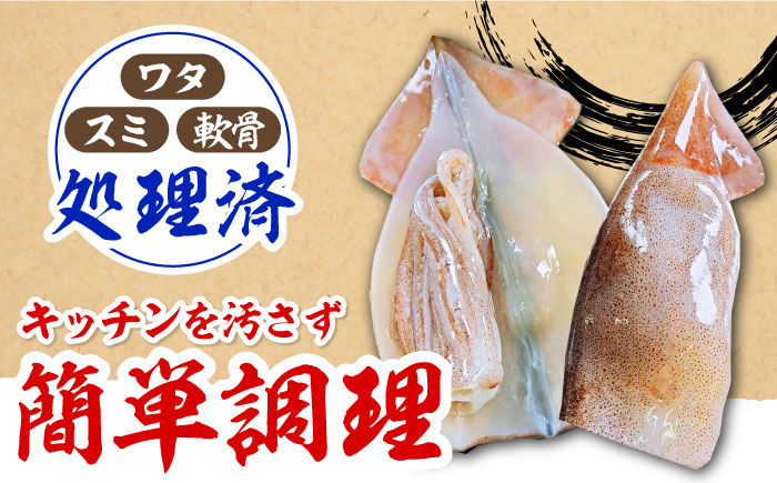 ふぞろい の 烏賊(コイカ) たち 2024《対馬市》【ゆうなぎ対馬】イカ いか 生冷凍 新鮮 簡単調理 海鮮 魚介 煮物 揚げ物 焼き物 [WAG022]