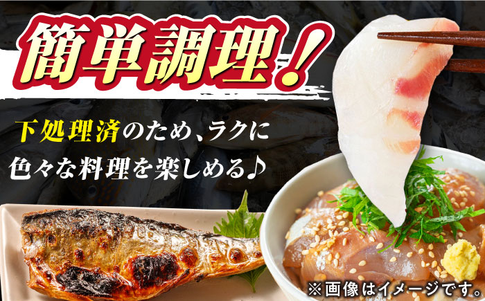 【期間限定！】対馬産 鮮魚 詰め合わせ 5種前後 4.0ｋｇ《対馬市》【対海】新鮮 天然 直送 冷蔵 セット [WAH022]