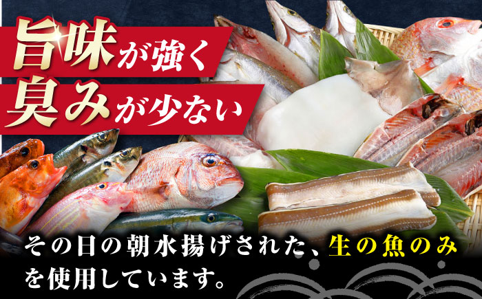 対馬産 旬の地魚 干物 5種 セット《対馬市》【対海】冷凍 肉厚 新鮮 直送 旬 海鮮 ひもの 朝食 イカ サバ [WAH024]