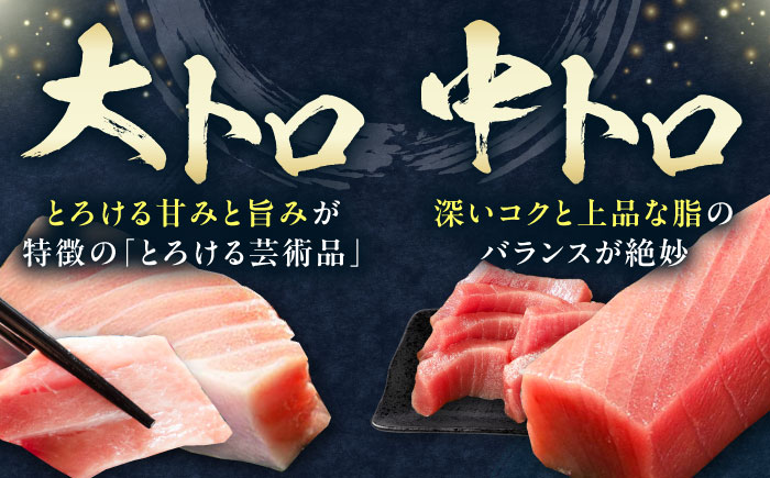 【全3回定期便】 対馬産 本マグロ 4種 計2kg（赤身/中トロ/大トロ/ネギトロ）《対馬市》【対海】 冷凍配送 大容量 新鮮 海鮮丼 手巻き寿司 [WAH034]