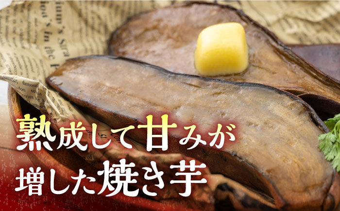 【全3回定期便】孝行芋 焼き芋 6袋 《 対馬市 》【 うえはら株式会社 】 対馬 やきいも 常温 保存食 濃密 甘い おやつ 濃蜜 スイーツ デザート [WAI021]