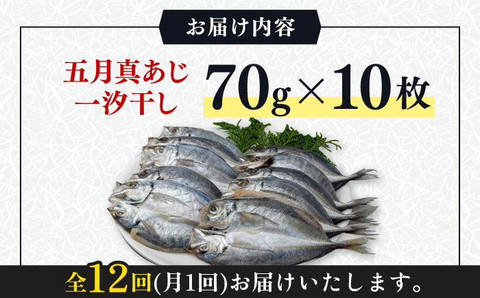 【全12回定期便】対馬 五月 真あじ 一汐干し 10枚 《 対馬市 》【 うえはら株式会社 】新鮮 アジ 干物 海産物 朝食 冷凍 [WAI044]