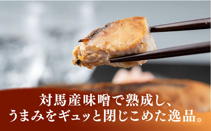 対馬  一汐干し と ぶり 味噌漬け セット 《 対馬市 》【 うえはら株式会社 】新鮮 アジ 穴子 カマス 連子鯛 干物 ブリ味噌 浸け 発酵 熟成 海産物 朝食 冷凍 [WAI080]