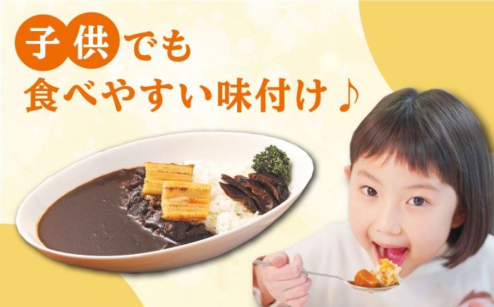 FISH COOK BOOK　対馬防人あなごカレー　4個《 対馬市 》【 うえはら株式会社 】 優勝商品 対馬 あなご 穴子 カレー スパイス 自衛隊 コラボ おみやげ [WAI081]