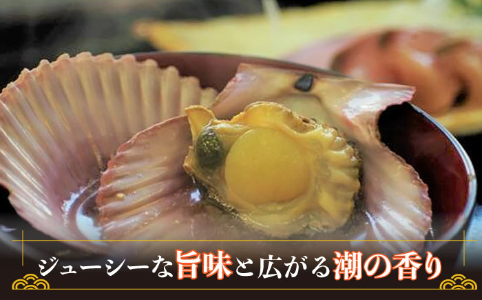 ひおうぎ貝 20枚 《 対馬市 》【 うえはら株式会社 】 新鮮 海産物 貝 [WAI085]