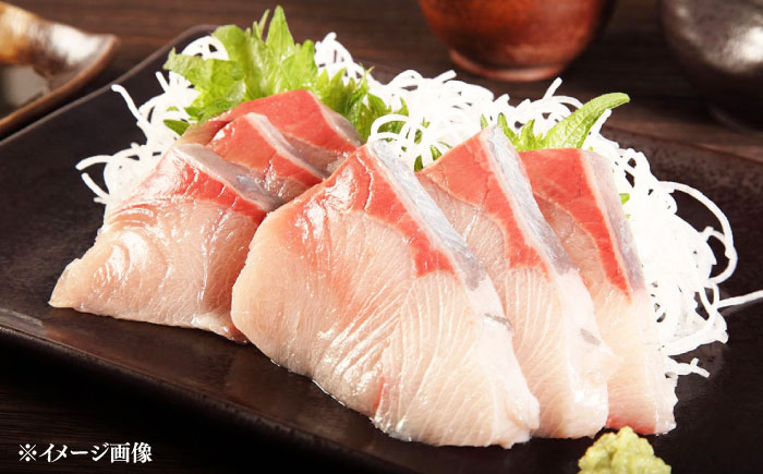 【年末に指定でお届け！】対馬産 寒ブリ 5kg前後 1本 ≪対馬市≫【うえはら株式会社】 産地直送 冷蔵 冷蔵配送 ブリ ぶり 鰤 海鮮 長崎 対馬 国産 鮮魚 [WAI096]