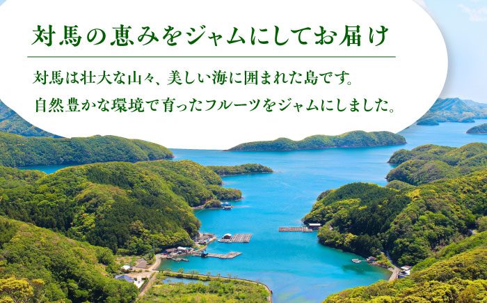 【12/22入金分まで年内発送】対馬の フルーツジャム 6本(3種類以上)セット《対馬市》【対馬コノソレ】フルーツ 果肉 詰め合わせ ジューシー 朝食 食べ比べ 島の瞳 ゆず ジャム ソース [WAM019]