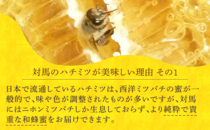 【12/22入金分まで年内発送】対馬 ニホンミツバチ 巣蜜 はちみつ 稀少 つしま 《対馬市》【特定非営利活動法人 對馬次世代協議会（対馬コノソレ）】九州 長崎 スイーツ トッピング 朝食 おやつ [WAM022]