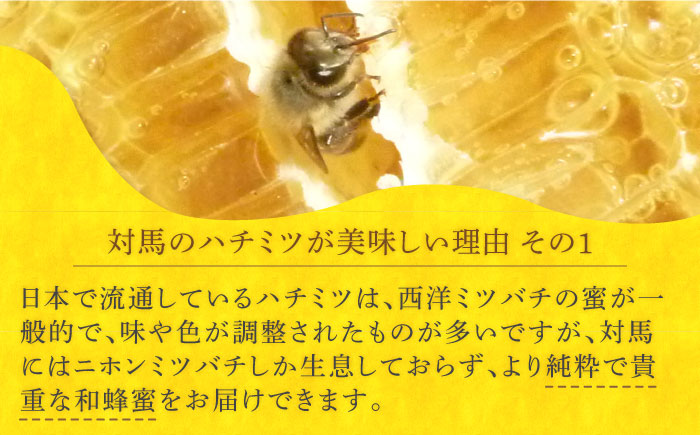 【12/22入金分まで年内発送】【超希少】対馬 和蜂 はちみつ 600g×2 《対馬市》【特定非営利活動法人 對馬次世代協議会（対馬コノソレ）】 蜂蜜 ハチミツ 日本ミツバチ 二ホンミツバチ [WAM030]