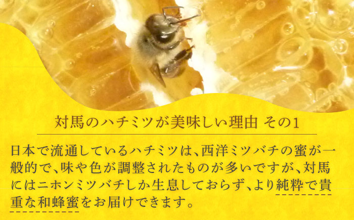 対馬 和蜂 はちみつ 100g×1本 《対馬市》【特定非営利活動法人 對馬次世代協議会（対馬コノソレ）】 蜂蜜 ハチミツ 日本ミツバチ ニホンミツバチ [WAM033]