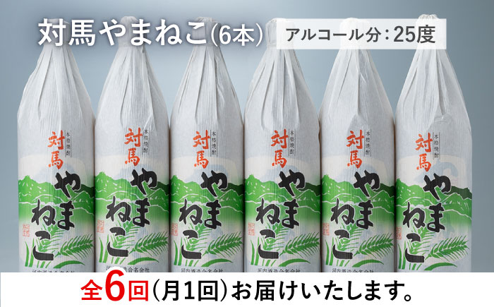 【全6回定期便】麦米焼酎 対馬やまねこ 900ml 6本 《対馬市》【白嶽酒造株式会社】 [WAN034]