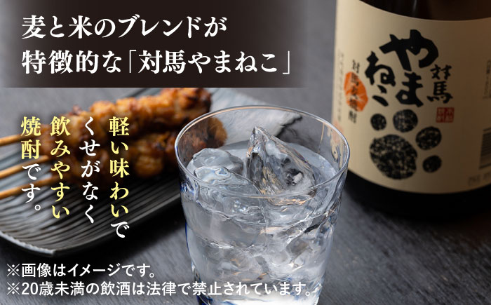 国境の島 対馬の地酒定期便 《対馬市》【白嶽酒造】 常温配送 地酒 対馬 島酒 焼酎 日本酒 [WAN039]