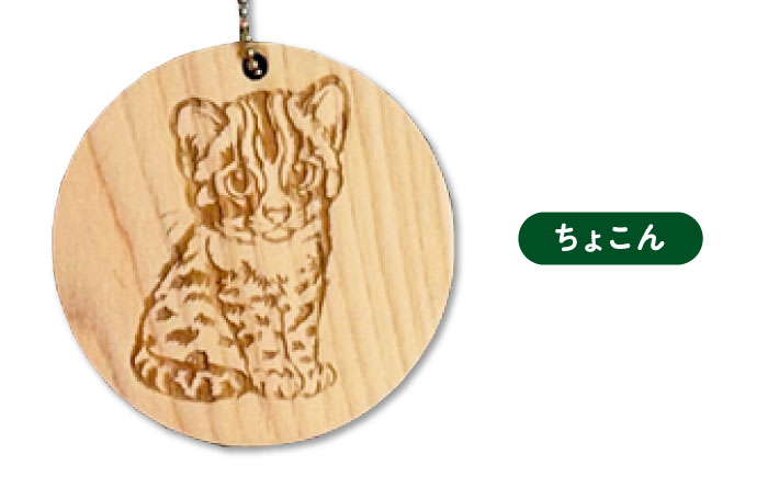 対馬 ひのきーホルダー 3種セット 《対馬市》【一般社団法人MIT】 ツシマヤマネコ キーホルダー 雑貨 [WAP025]