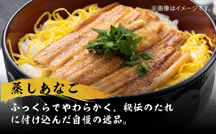 対馬産 べっぴんあなご 詰め合わせ 《 対馬市 》【 桐谷商店 】 対馬 新鮮 ふわふわ 穴子 刺身 海産物 魚介 [WAQ001]