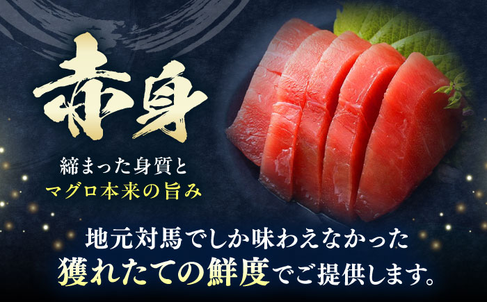 【全3回定期便】対馬産 本マグロ 赤身200g ≪対馬市≫【桐谷商店】 トロの華 対馬 新鮮 マグロ 赤身 鮪 刺身 [WAQ112]