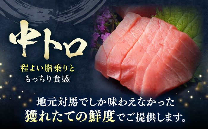 対馬産 本マグロ 中トロ100g ≪対馬市≫【桐谷商店】 トロの華 対馬 新鮮 マグロ 中トロ トロ 鮪 刺身 [WAQ115]