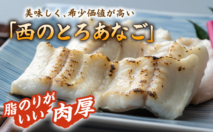 【全12回定期便】対馬産 穴子 詰め合わせ 15PAC《 対馬市 》【対馬水産株式会社】対馬 新鮮 とろ あなご ふわふわ 煮穴子 冷凍 海鮮 [WAV012]