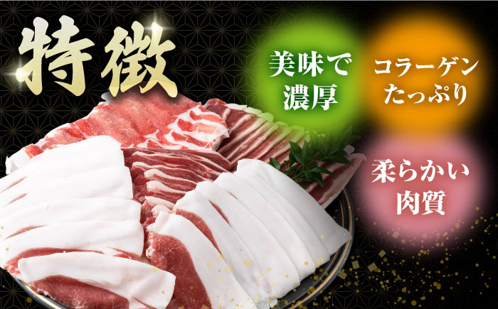 猪肉メスの極上ローススライス【株式会社対馬またぎ】《対馬市》 BBQ 焼肉 鍋 猪肉 肉 ジューシー おつまみ [WBD003]