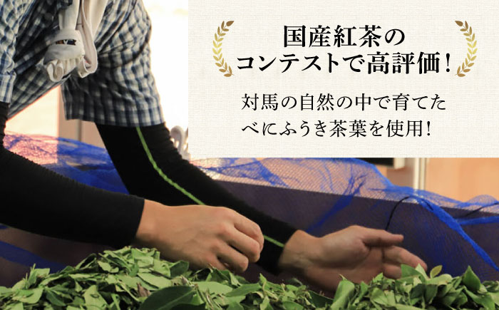 【全12回定期便】対馬 紅茶 リーフ 30g×6個 《対馬市》【つしま大石農園】ティー 国産 [WBE007]