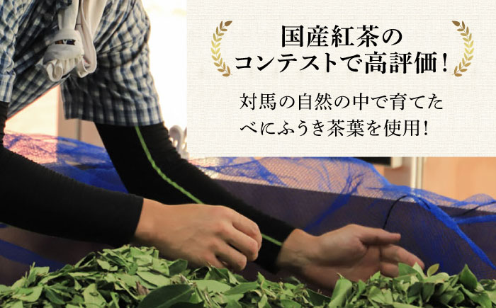 【全6回定期便】【2ヶ月に1回お届け】対馬 紅茶 ティーバッグ 20包入×3個《対馬市》【つしま大石農園】お茶 ティー べにふうき茶葉 フルーティー [WBE008]