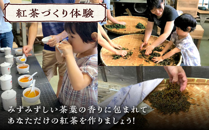 紅茶 づくり 体験 と 民泊 あたんせ 宿泊 プラン（クーポン付き）（2名様まで）《対馬市》【つしま大石農園】ティー [WBE011]
