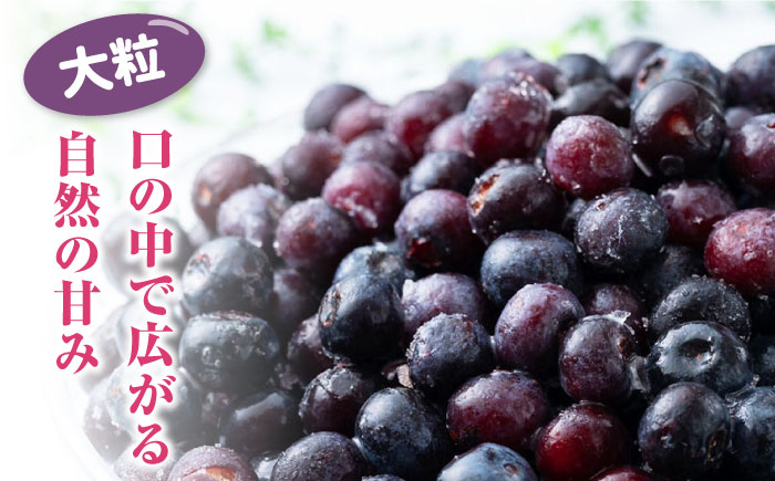 対馬産 ブル－ベリ－ ＆ ジャム セット《対馬市》【さほの里ファーム】 ブルーベリー フルーツ 詰め合わせ 朝食 新鮮 果実 ギフト [WBG007]