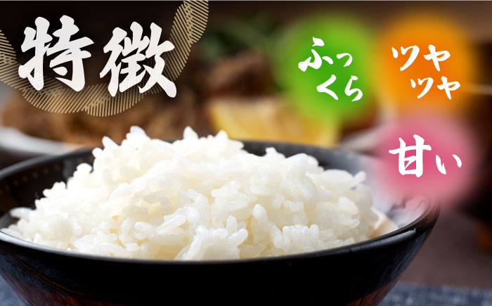 【全6回定期便】対馬産「 なつほのか 」10kg 5kg×2【2024年10月以降順次発送】【対馬農業協同組合】《対馬市》 白米 米 お米 ご飯 ごはん 10kg 10キロ 産地直送 ランキング 送料無料 贈答用 定期便 [WBM007]