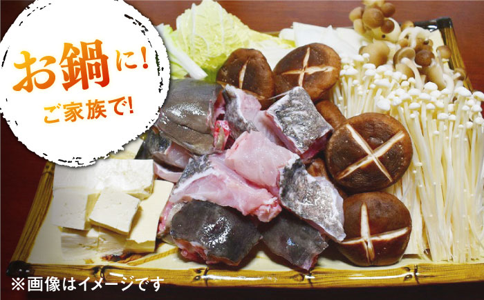 長崎県 対馬産 天然 高級魚 クエ 切身 （ アラ ） 600g【漁昇丸水産】《対馬市》 活〆 新鮮 海鮮 魚介 海の幸 急速冷凍 クエ鍋 [WBU001]