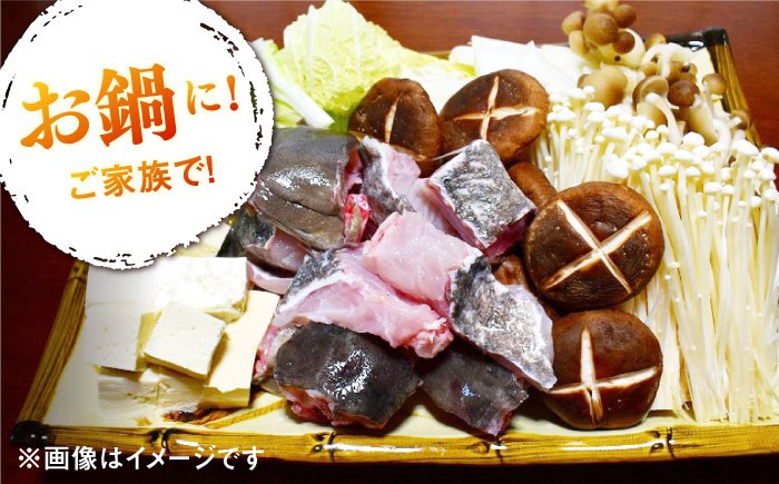 長崎県 対馬産 天然 高級魚 クエ 切身 （ アラ ） 400g【漁昇丸水産】《対馬市》 活〆 新鮮 海鮮 魚介 海の幸 急速冷凍 クエ鍋 1－2人前 [WBU002]