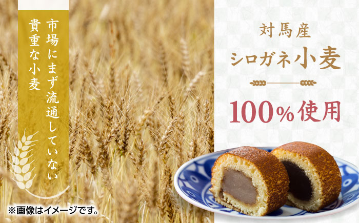 対馬小麦 かすまき 2箱（6個入/箱）《対馬市》【春田菓子店】 和菓子 菓子 スイーツ カステラ [WCA009]