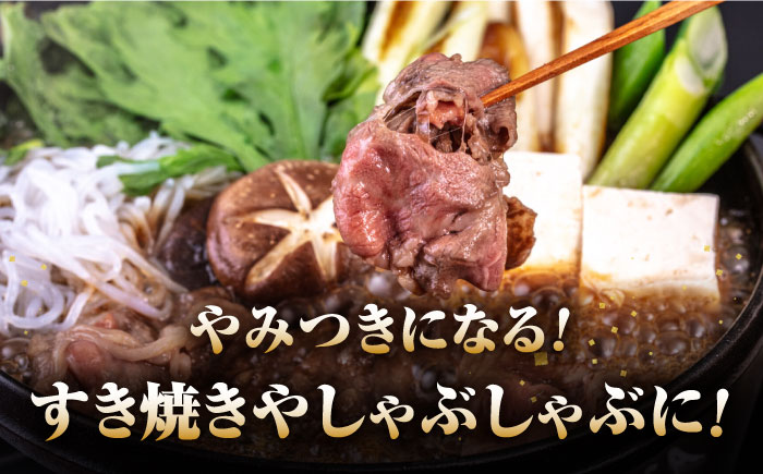 長崎和牛 あか牛 1kg（500g×2パック）（すき焼き・しゃぶしゃぶ用）《対馬市》【株式会社Tsukushi】 対馬 牛 和牛 すき焼 しゃぶしゃぶ 鍋 冷凍配送 [WCR006]