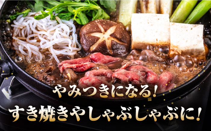対馬生まれのあか牛 500g（すき焼き・しゃぶしゃぶ用）《対馬市》【株式会社Tsukushi】 対馬 牛 和牛 すき焼 しゃぶしゃぶ 鍋 冷凍配送 [WCR010]