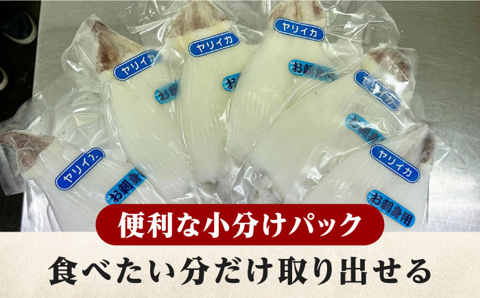 対馬産 ヤリイカ 刺身用 6杯《対馬市》【対馬新鮮組】 冷凍配送 小分け いか 新鮮 海鮮 冷凍配送  [WCS003]