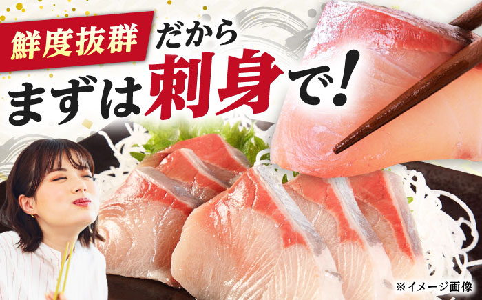 【12/29発送】真空！寒ブリ（6kg～7kg）《対馬市》【対馬新選組】 ぶり ブリ 鰤 ぶりしゃぶ しゃぶしゃぶ 刺身 鮮魚 海鮮 魚 対馬 長崎 国産 新鮮 冷蔵 鍋 海鮮鍋 年末 正月 年内発送 年内配送 年末配送 時間指定 [WCS009]